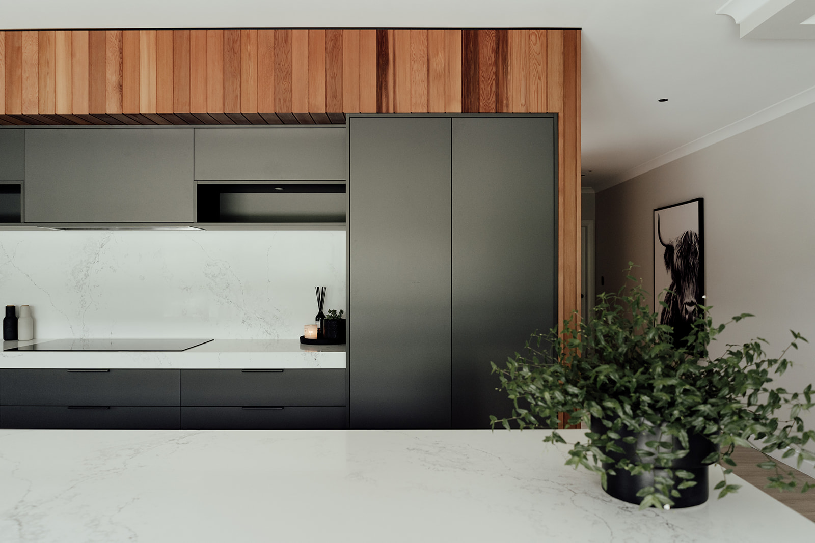 black modern kitchen wood